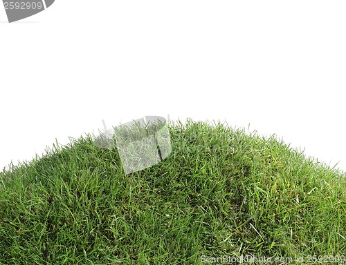 Image of Simple Grassy Hill Cutout