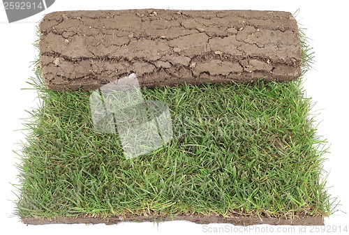 Image of Grass Carpet Roll Cut Out