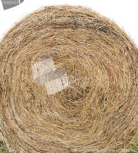 Image of Bale of hay