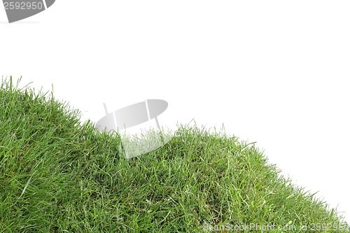 Image of Grassy Down Hill Cutout