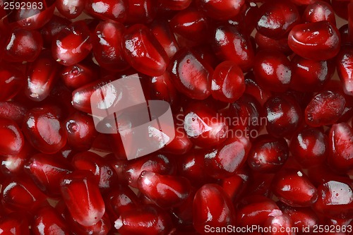 Image of Pomegranate Seed Background