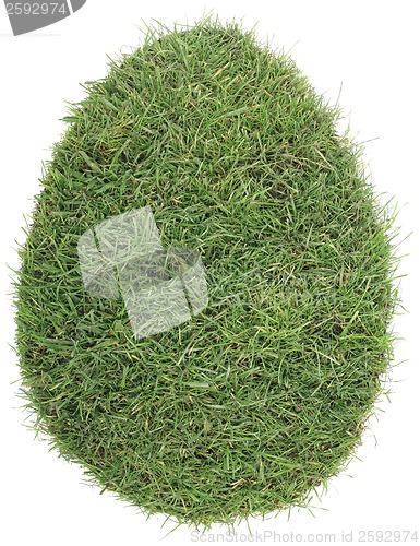 Image of Egg Shape of Grass Turf Cutout