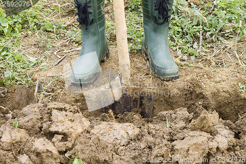 Image of Gardening