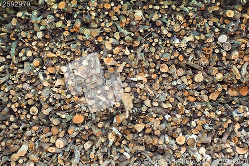 Image of Woodpile Background