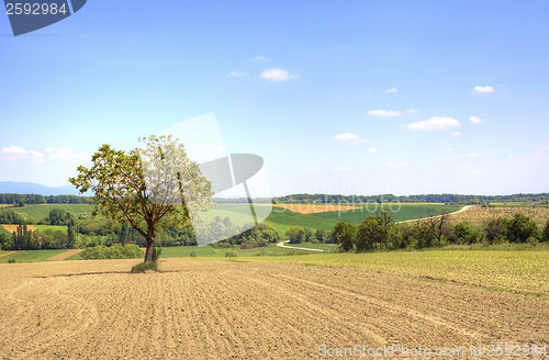 Image of Rural Landscape