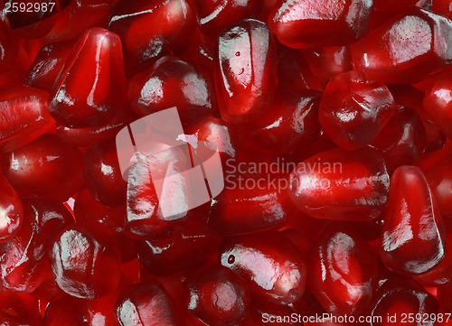 Image of Pomegranate Seeds Background