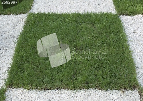 Image of Checkered Grass