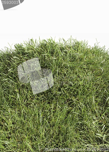 Image of Grass Hill Cutout