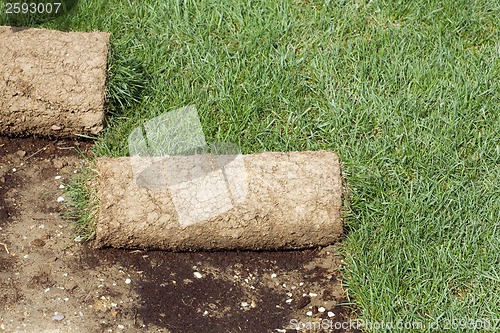 Image of Grass Carpet Rolls