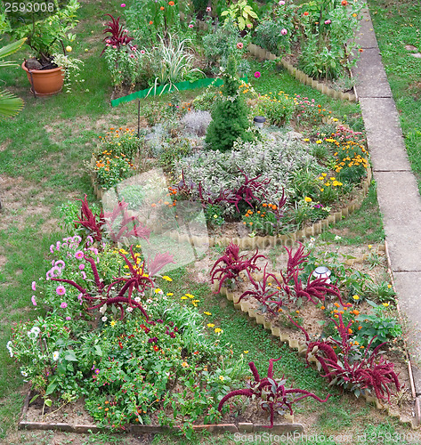 Image of Backyard Garden