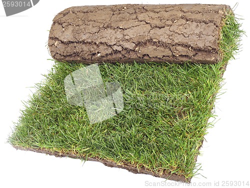 Image of Roll of Grass Rug