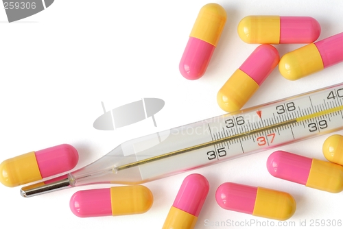 Image of Isolated Capsules