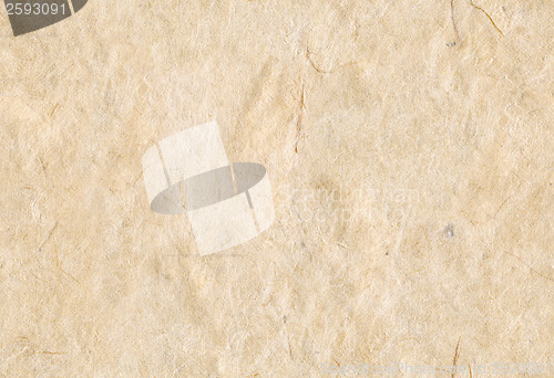 Image of Beige paper