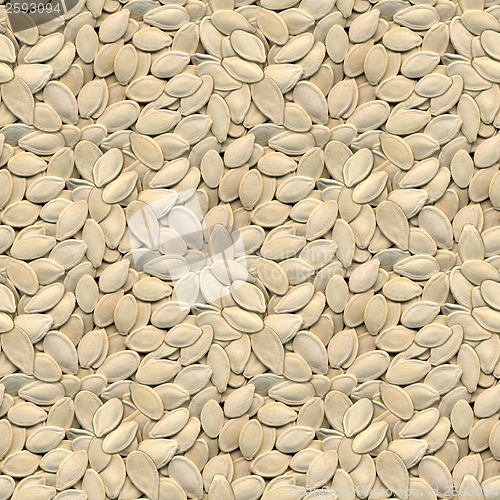 Image of Pumpkin Seeds Seamless Background