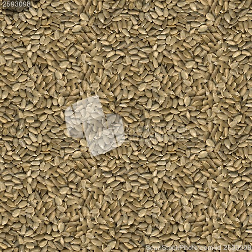 Image of Sunflower Seeds Seamless Texture
