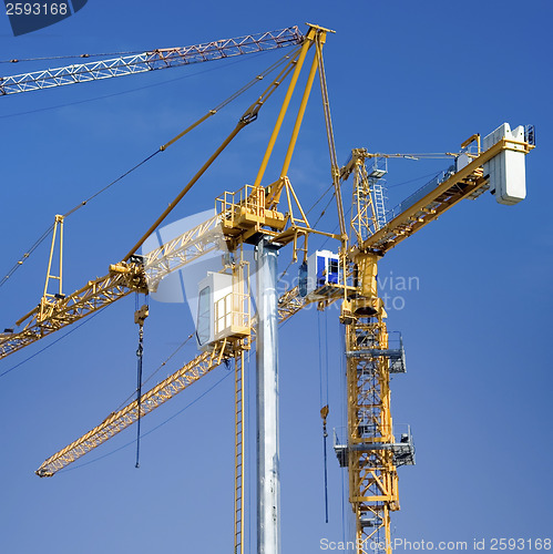 Image of Construction cranes