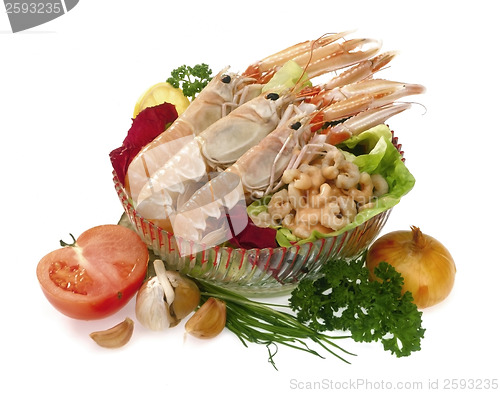 Image of Raw shrimps