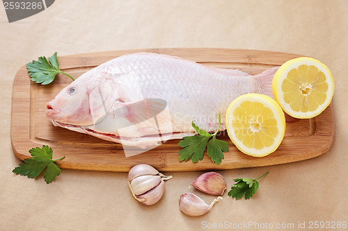 Image of red tilapia