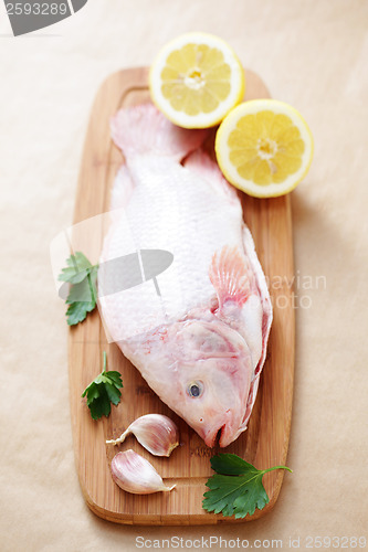 Image of red tilapia