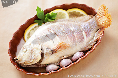 Image of red tilapia