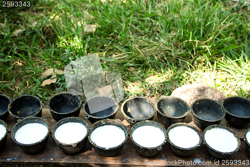 Image of Bowl to collect milk from rubber tree