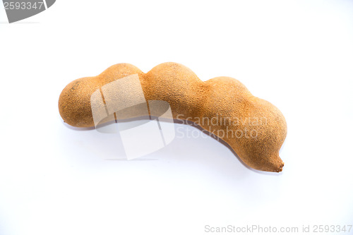 Image of Tamarind