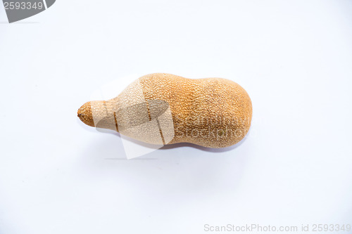 Image of Tamarind