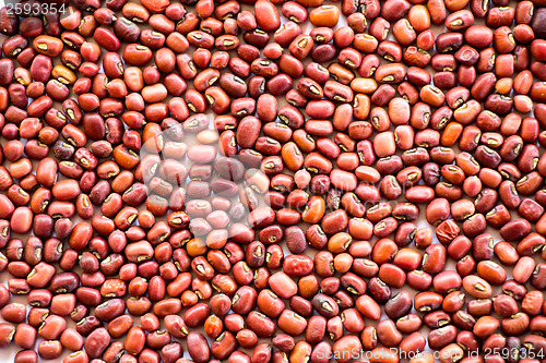 Image of Red beans pattern as background