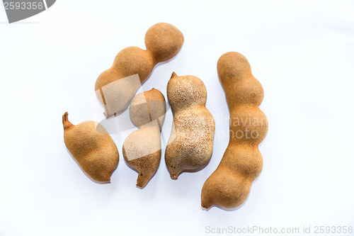 Image of Tamarind