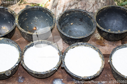 Image of Bowl to collect milk from rubber tree