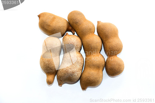 Image of Tamarind