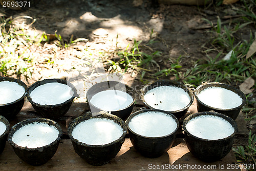 Image of Bowl to collect milk from rubber tree
