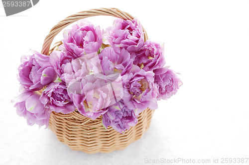 Image of lovely pink tulips