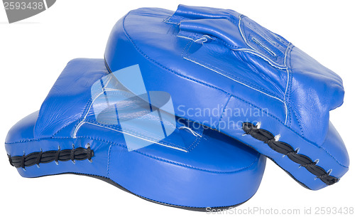 Image of Blue mitts cutout
