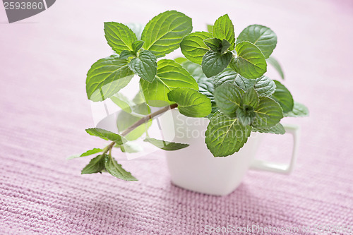 Image of mint tea