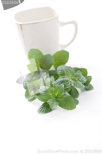 Image of mint tea