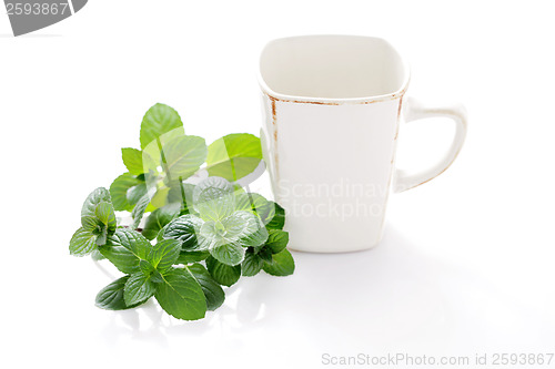 Image of mint tea