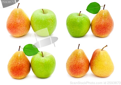 Image of Pears