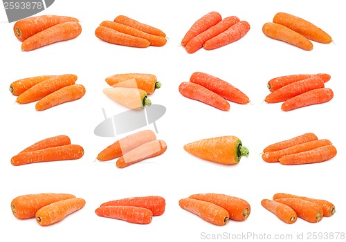 Image of Carrot