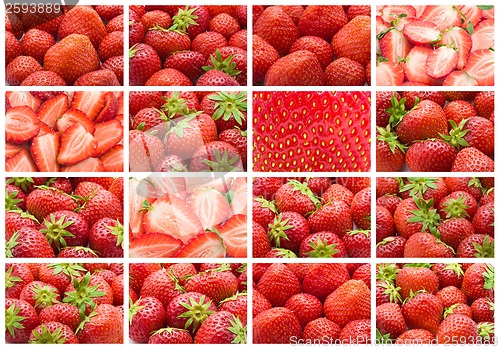 Image of Strawberry