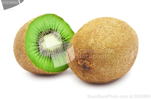 Image of Kiwi