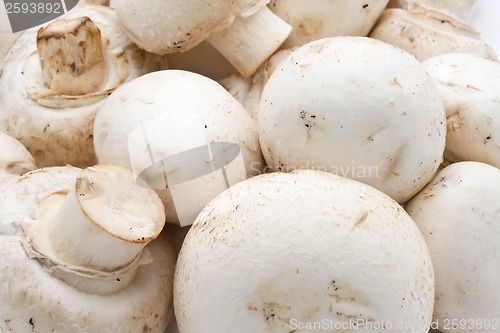 Image of Champignon mushrooms