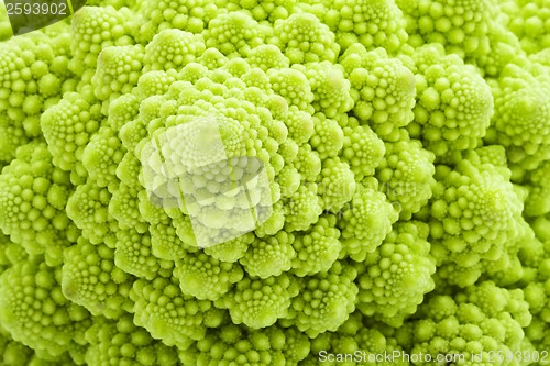 Image of Romanesco broccoli