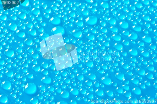 Image of Water drops