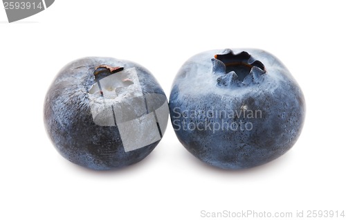 Image of Blueberry