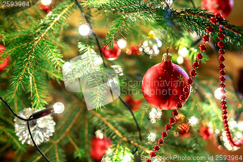 Image of Christmas decoration on tree with light