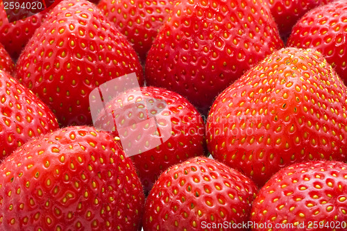 Image of Strawberries