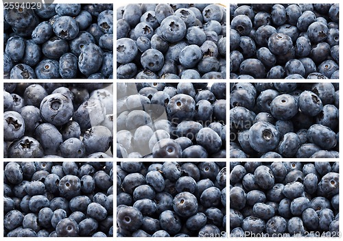 Image of Blueberries