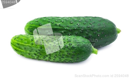 Image of Fresh cucumber