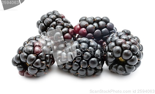 Image of Blackberry
